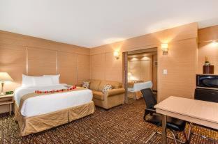 One-Bedroom Suite