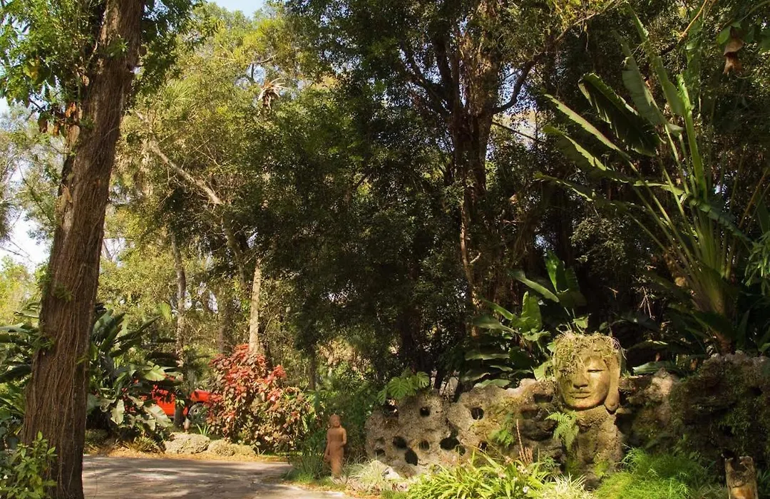 Studio In Paradise-1