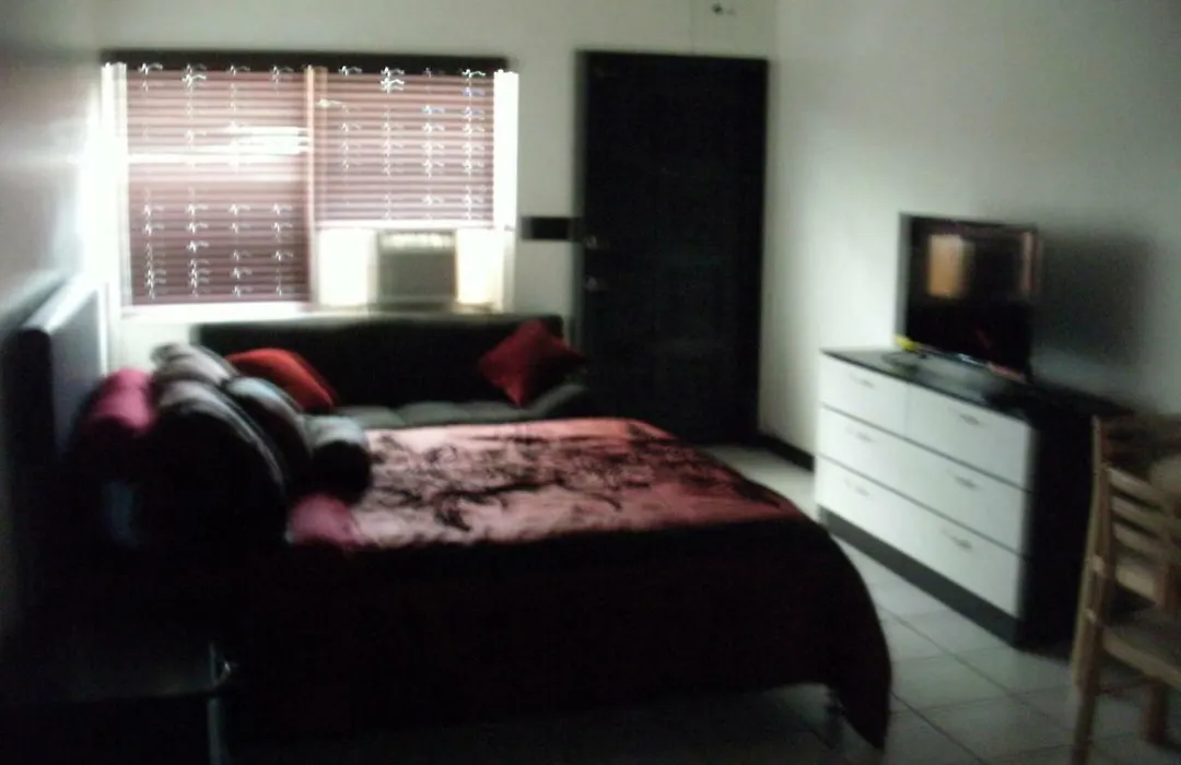 Newly Furnished Large Clean Quiet Private Unit-1
