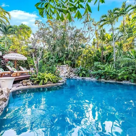 Tropical Jungle Pool Oasis-3