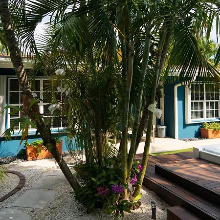 Modern Oasis-3