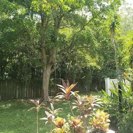 Apts With Backyard Near Fort Lauderdale Beach, Nightlife, Cruise Port, Airport-2