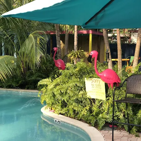 Calypso Inn Wilton Gay Male Resort-2