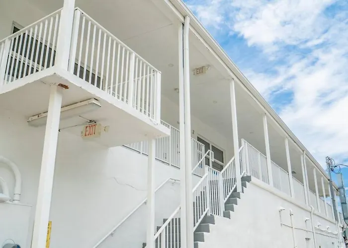 The Purple Pelican Beachfront With Ocean Balcony Unit 3 Fort Lauderdale acceptant les animaux